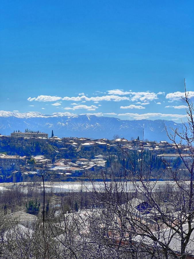 Sunshine House Villa Кутаиси Екстериор снимка